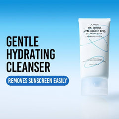 Waterfull Hyaluronic Acid Cleansing Foam 150ml