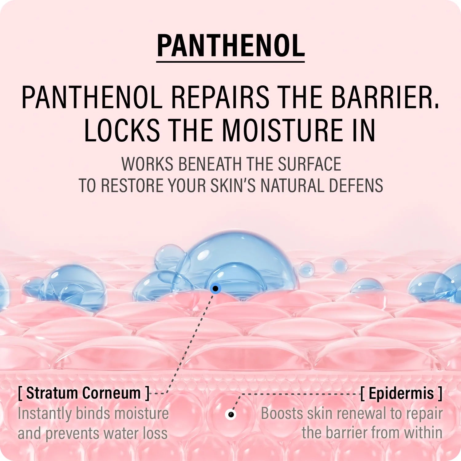 Double Up Cream Ectoin & Panthenol